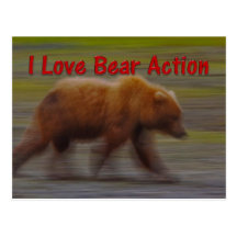 I Love Bear Action Postcard