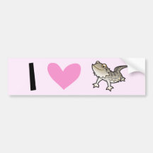 I Love Bearded Dragons / Rankin Dragons Bumper Stickers