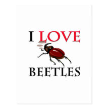I Love Beetles Post Cards
