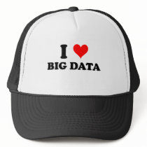 I Love Big Data