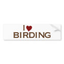 I Love Birding bumper stickers