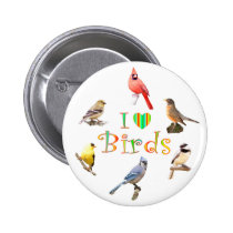I LOVE BIRDS buttons