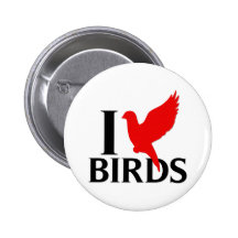 I Love Birds Pins