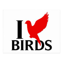 I Love Birds Postcards