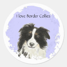 I love Border Collies  Sticker