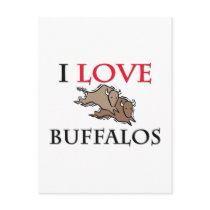 I Love Buffalos Postcards