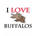 I Love Buffalos t-shirts