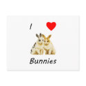 I Love Bunnies postcards