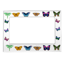 I Love Butterflies Magnetic Frame