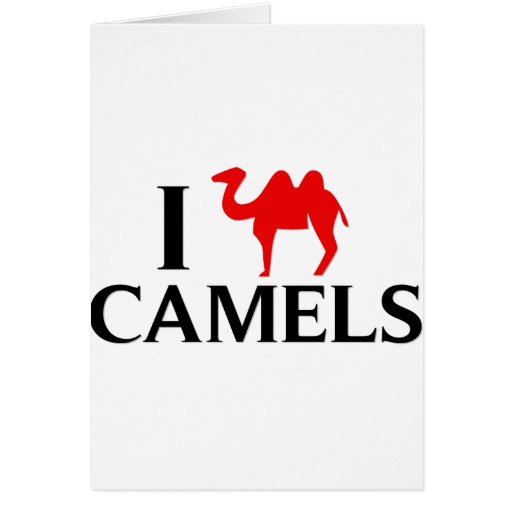 I Love Camels Greeting Cards