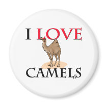 I Love Camels Refrigerator Magnets