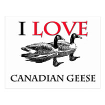 I Love Canadian Geese postcards