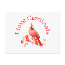 I Love Cardinals Postcards