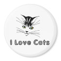 i love cats 5 i love cats 5 kitten with yellow eye magnets
