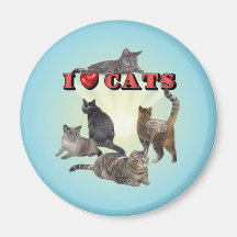 I love Cats Fridge Magnets