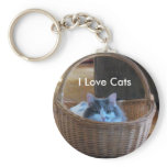 I Love Cats