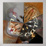i love cats  poster