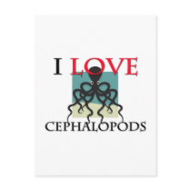 I Love Cephalopods Post Card