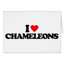I LOVE CHAMELEONS GREETING CARD