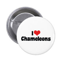 I Love Chameleons Pinback Button