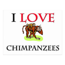 I Love Chimpanzees Postcards