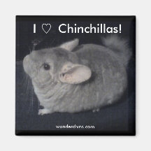 I Love Chinchillas Refrigerator Magnet