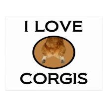 I Love Corgis Postcard