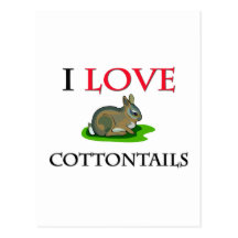 I Love Cottontails Post Card