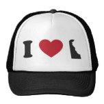 I Love Delaware hats