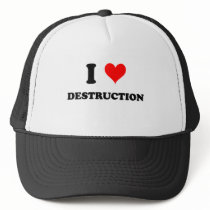 I Love Destruction