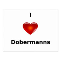 I love Dobermanns Post Cards