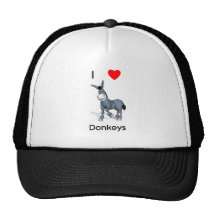 I love donkeys mesh hats