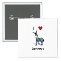 I love donkeys pins