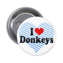 I Love Donkeys Pins