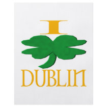 I Love Dublin Flyers