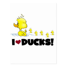 I Love Ducks Tshirts and Gifts Postcard