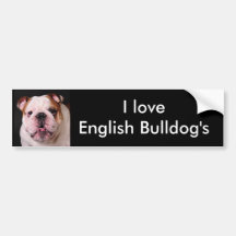 I love English Bulldog's Bumper Stickers