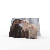 I Love Ferrets Greeting Cards