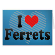 I Love Ferrets Greeting Cards