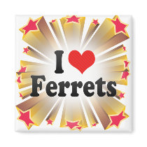 I Love Ferrets Refrigerator Magnets