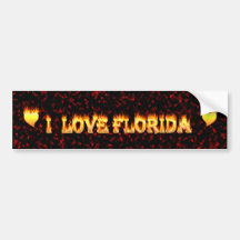 I love florida fire and flames bumper stickers