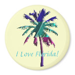 I Love Florida! magnets