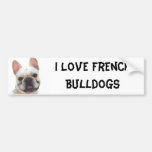 I Love French Bulldogs bumper sticker