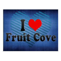 I Love Fruit Cove, United States Post Card