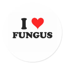 I Love Fungus