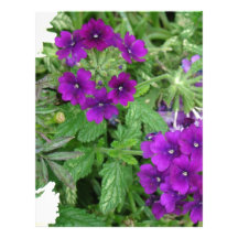 I love gardening customized letterhead