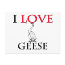 I Love Geese Post Cards