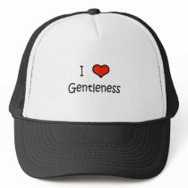 I Love Gentleness Mesh Hat