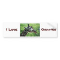 I Love Giraffes bumper stickers