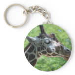I Love Giraffes Keychain